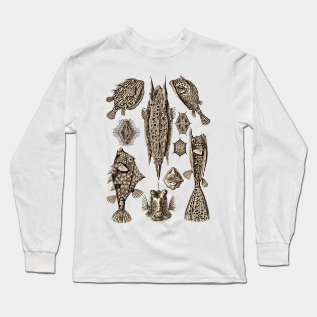 Ernst Haeckel Ostraciontes Fish  Wenge Long Sleeve T-Shirt by Scientistudio